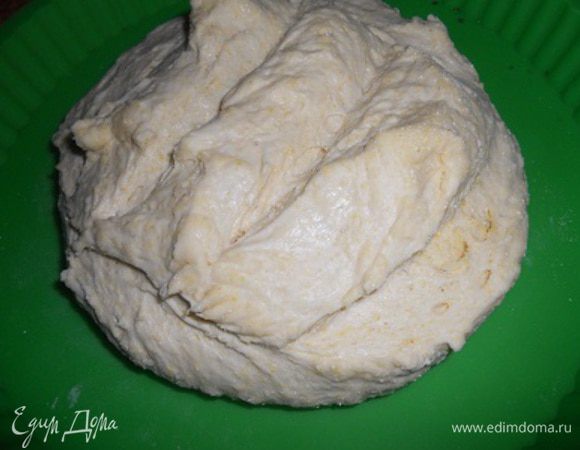 Выложить тесто в форму, сделать формовку, то есть руками  сверху вниз немного обмять и сформировать шар, сделать надрезы и оставить еще на полчаса, накрыв полотенцем.