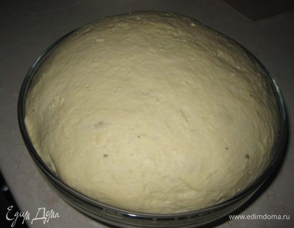 Накрываем тесто полотенцем и ставим подходить в теплое место на 1,5-2,5 часа. Все будет зависеть насколько тепло в кухне, у меня поднималось тесто 2,5 часа, поскольку было немного прохладно в кухне. Тесто должно вырасти в 3 раза.





