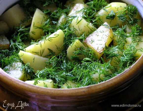 Горшочек накрыть крышкой и поставить в неразогретую духовку, включить 180*С и готовить 2 часа. Перед подачей посыпать свежим укропом. Приятного аппетита! :)