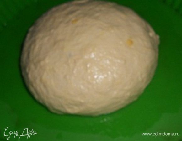 Полить тесто растительным маслом и подмесить, переложить в форму для выпечки, накрыть салфеткой и оставить на 45 минут - подойти. Затем когда тесто увеличилось в объеме поставить в духовку при температуре 165 градусов на 40 - 45 минут до готовности.