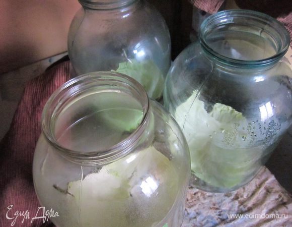 готовим банки моем я их тоже стерилизую на дно ложу укроп ветки лавровый лист  перец в горошек  хрен листья или корень / у меня сушенный/