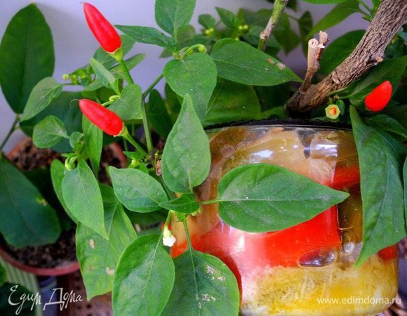 Вынимаем шумовкой и кладем в миску с заливкой, перемешиваем – аромат просто сногсшибательный!  
Сразу же раскладываем горячие душистые овощи по стерилизованным  банкам, наполняя их маринадом до самого верха. Плотно закрываем крышками (я использую баночки с завинчивающимися крышками, очень удобно). 

