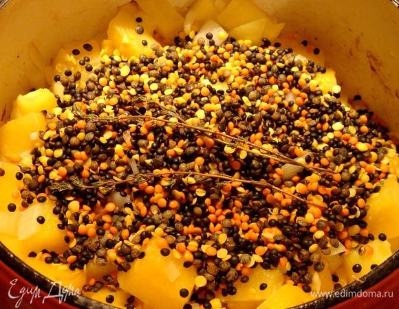 Добавить промытую чечевицу и веточки тимьяна, залить бульоном (или водой) и довести до кипения. Накрыть кастрюлю крышкой и проварить чечевицу минут 20.