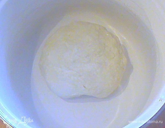 Замешиваем тесто из указанных продуктов вместе с притвором. Вначале замеса тесто будет липким, но в процессе вымешивания оно перестанет приставать к рукам и посуде, но на ощупь будем немного липким.
Месим 8-10 мин.
