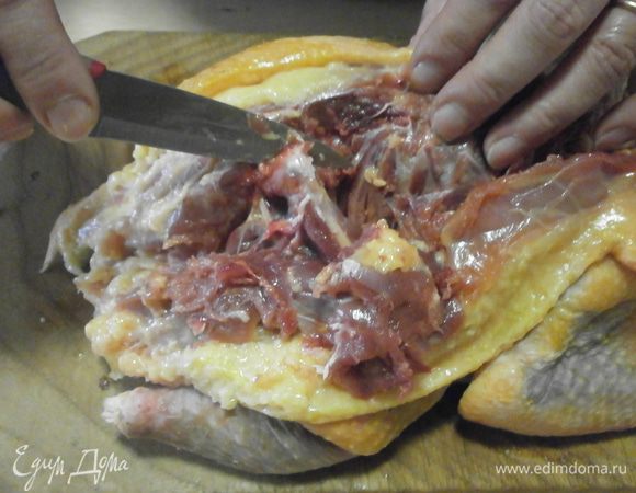 Сопровождая скелет и стараться не повредить кожу, отделяем мясо от костей острым ножом. Дойдя до крыльев и ног, делаем надрезы в соединениях костей.