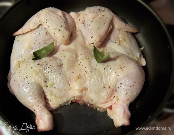 Положить цыпленка на сковороду.