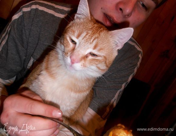 А вот и первый дегустатор вернулся с работы! Ну а без кота вообще ни одна дегустация не проходит (пробует даже авокадо, хурму с руки, а про мясное промолчу).