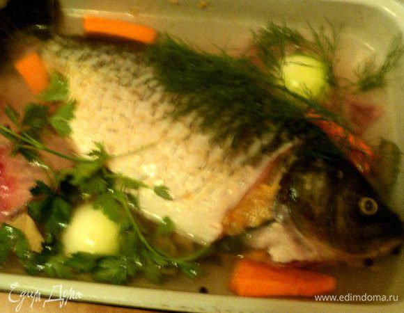 Нафаршировать кожу и голову карпа фаршем, придав карпу вид целой рыбы. Положить рыбу в сотейник, добавить хребет карпа, морковь и лук, порезанные крупными кусками, гвоздику, черный перец, лавровый лист, сахар, зелень. Залить водой, чтобы покрывала рыбу, посолить. Накрыть сотейник крышкой, поставить в духовку. При температуре 180 градусов томить 1час 20мин. Готового карпа охладить в бульоне.