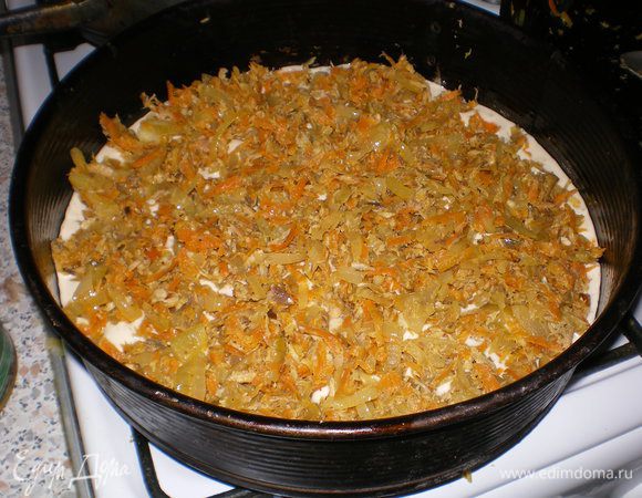 Хорошо смазываем форму маслом и выливаем половину теста, а на него выкладываем начинку.