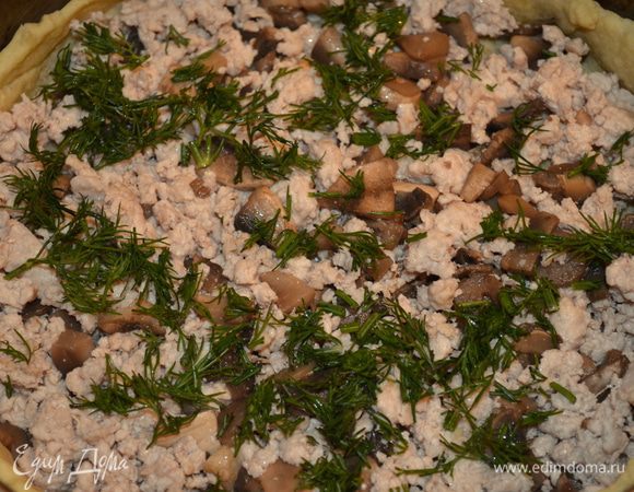 раскладываем рубленый укроп 