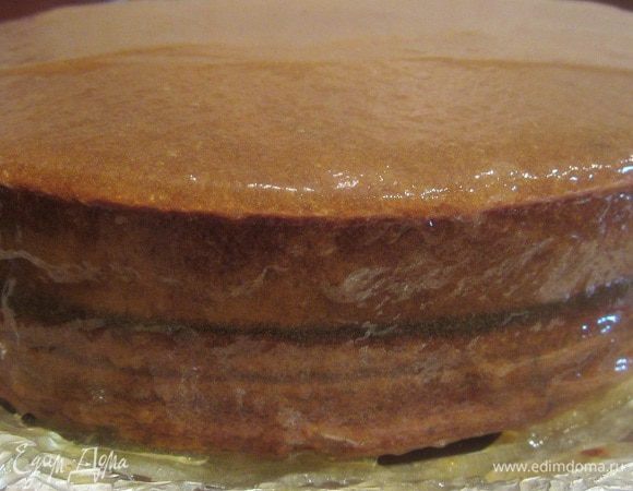 Оставшийся джем протереть через сито, снова немного подогреть и нанести на верх бисквита, разровнять ножом и заполнить все неровности по бокам. Поставить в холод до полного застывания джема.