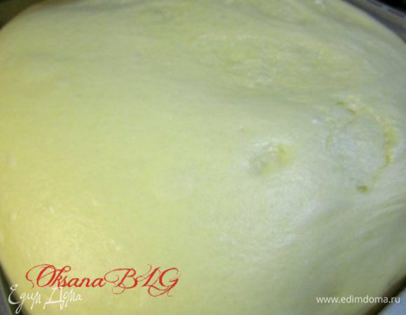 Вымесить тесто. Накрыть пленкой и отравить на 1,5-2 часа в теплом месте без сквозняков.