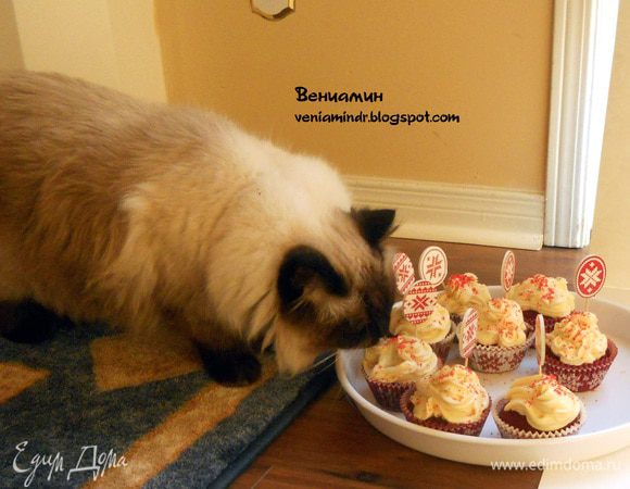 P.S. Не удержался, однако, от размещения этих фотографий, хотя может показаться негигиеничным:) Отлучился буквально на 30 секунд в процессе фотосъемки, и вдруг слышу чавканье и причмокивание....Дегустация прошла хорошо, одобрил крем (через пару дней последний маффин тоже никому так и не достался:)))