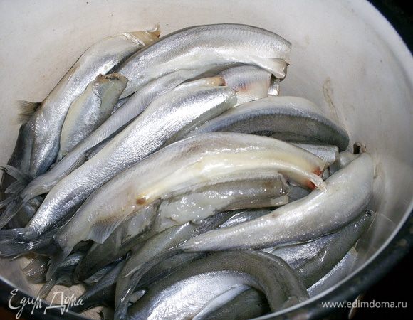Мойву моем и чистим. Удаляем головы и внутренности. Если посчастливилось купить рыбку с икрой, икру оставляем. Чай завариваем в стакане кипятка (250 мл).