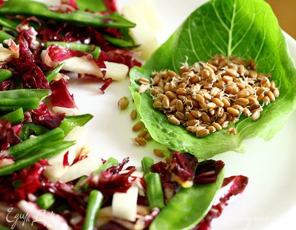 На тарелку на лист щавеля или салата выкладываем пророщенные зерна пшеницы. 