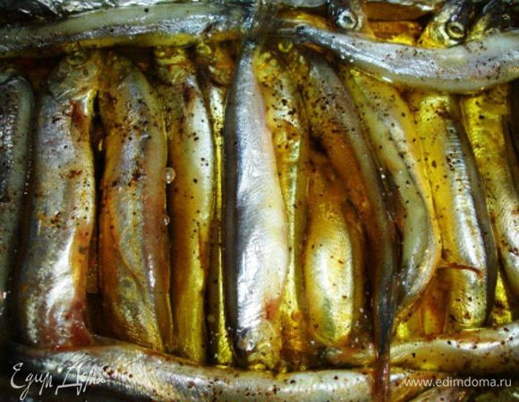 Выложите на противень в 1–2 слоя. Не забудьте под рыбу положить лавровый лист. Затем добавьте чайную заварку. Лейте аккуратно, чтобы не смыть специи с уложенной рыбы. Теперь настала очередь масла. Его надо столько, чтобы оно слегка покрывало рыбу.