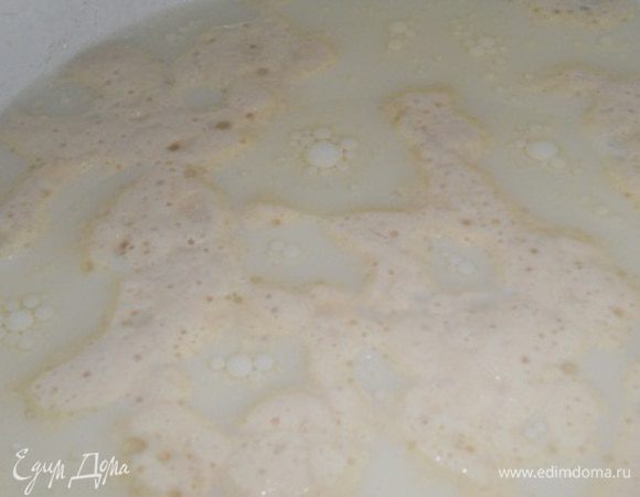 В миску налить теплое молоко, добавить соль, сахар, растительное масло и опару (когда она запузырится), перемешать.