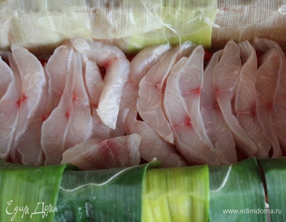 слой тилапии...