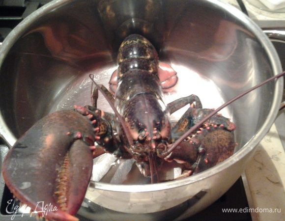 Прощание с лобстером (жалко, ведь собственноручно выловила в аквариуме). Отварить лобстера  в большом количестве соленой воды с луком-пореем и морковью 10 мин., достать и оставить остужаться.