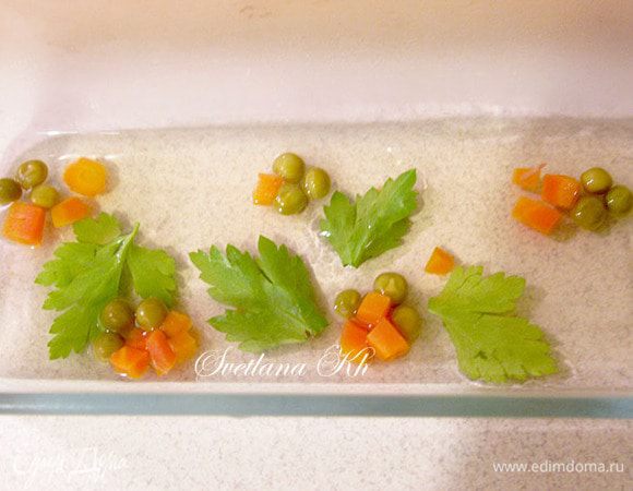 Дно формы выложить листиками петрушки, моркови и залить тонкий слой бульона. Дать застыть. Затем выложить  все мясо и залить бульон до конца формы. Поставить на холод, но не на мороз до полного зажелирования. Чтобы проще достать террин из формы,  можно предварительно выстлать ее пленкой изнутри.Только  брать не мягкую пленку, а файловую или использовать рукав для запекания.