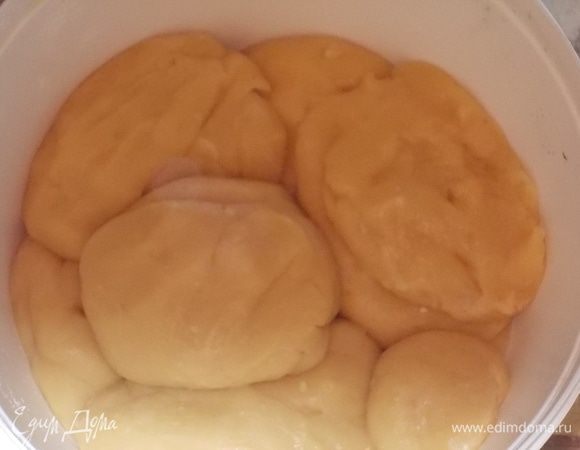 разделить тесто на 5-6 частей /зависит от размера формы для выпечки/  и поставить в тёплое тесто на 30 минут