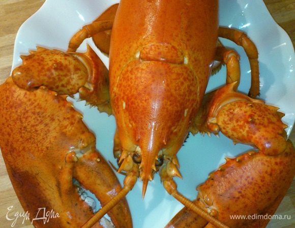 Омара отварить в кипящей воде со специями в течении 7 минут. Готового омара переложить в другую посуду, дать немного остыть.