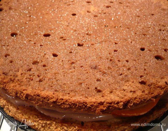 Накрываем шоколадным коржом, также хорошо пропитываем его фруктовым сиропом, наносим крем. Накрываем белым коржом, который также пропитываем сиропом, смазываем кремом. Выкладываем фрукты. Накрываем шоколадным коржом. Пропитываем сиропом.