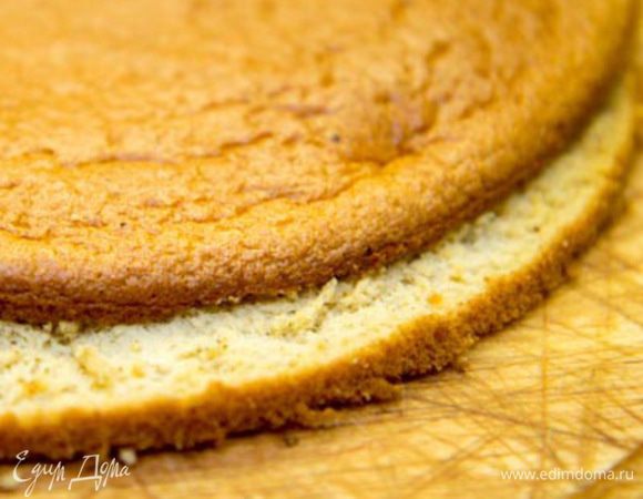 Бисквит:
Разогреваем духовку до 200 С.
Отделяем белок от желтка. Желток взбиваем с пралине и горячей водой. Взбиваем белок со щепоткой соли в устойчивую пену. Теперь  в миску с белком выкладываем желтковую смесь, добавляем муку. 
Аккуратно, но уверенно перемешиваем и выкладываем получившееся тесто в форму (диаметром 20 см) застеленную пергаментом.
Выпекаем 8-10 минут. Даем остыть. В идеале бисквит должен постоять 8 часов, тогда при нарезании он не будет крошиться. 
Разрезаем бисквит на 2 части. 
