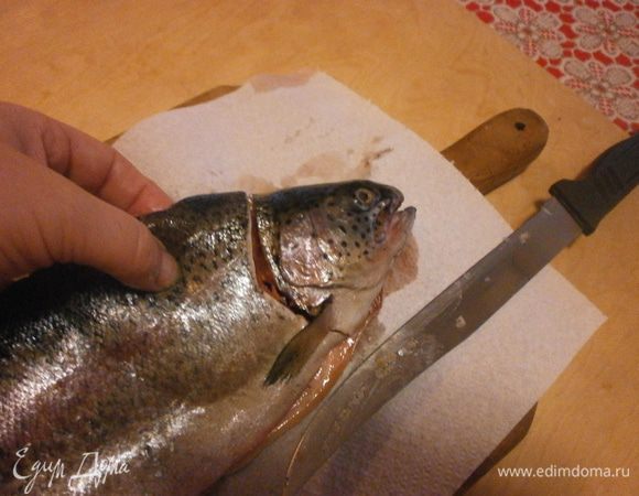 Тушку рыбы моем, обсушиваем бумажным полотенцем и приступаем к разделке рыбы. Желательно вооружиться ножом с тонким длинным лезвием. Сначала делаем надрез у основания головы.