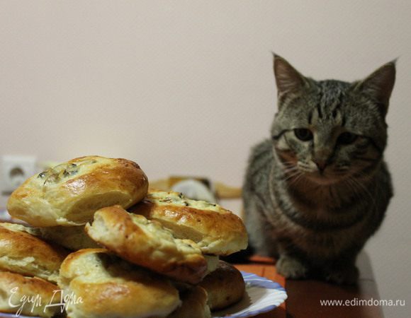 Выпекать при температуре 200 градусов до зарумянивания теста, примерно 30-40 минут! Приятного аппетита!!!

Пока ходила за фотиком, пришла полосатая хитрая морда!))) Пришлось поделиться с ним, очень любит творог!))))