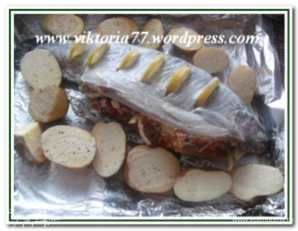 Картофель помыть, обсушить, разрезать пополам и выложить вокруг рыбы. Смазать картофель растительным маслом, посолить, поперчить.