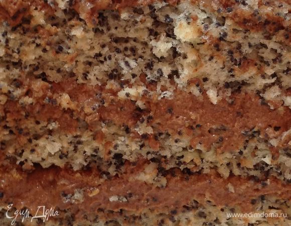 торт в разрезе