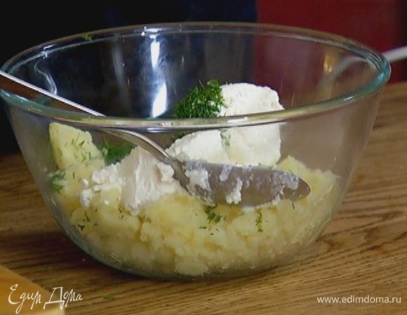 Картофельное пюре соединить с творогом и укропом, посолить, поперчить и перемешать.