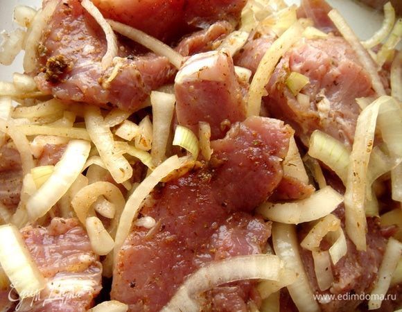 Мясо очистить от плёнок и нарезать на медальоны, толщиной в 1,5-2 см. Лук нарезать полукольцами. Чеснок растолочь в ступке и смешать с остальными специями,кроме соли, и уксусом. Если аджика,которую вы используете, недостаточно острая, то можно добавить чёрного перца. В глубокой миске мясо с луком сдобрить ароматной смесью и хорошо перемешать. Оставить при комнатной температуре на 0,5-2 часа (в зависимости от того, каким временем вы располагаете). 