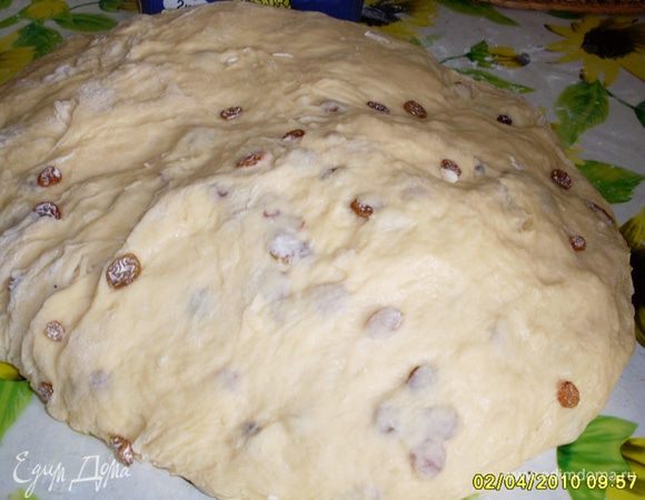 Тесто накрыть и поставить в теплое место. Когда поднимется  вдвое, добавить изюм хорошо промытый и высушенный.
