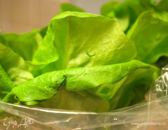 листы салата вымыть и обсушить