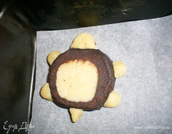 Формировать черепашку лучше всего на противне, застеленном пергаментом, дабы избежать травм во время транспортировки. Лапки, хвостик и голову прикладываем к туловищу и крепко прижимаем.