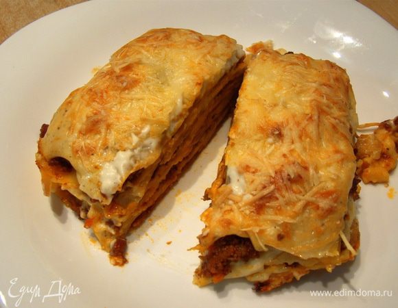 P.S. Вы, наверняка, знаете такое блюдо как "Спагетти болоньезе", а вскоре я опубликую рецепт моей лазаньи, в которой тоже используется соус "Болоньезе"