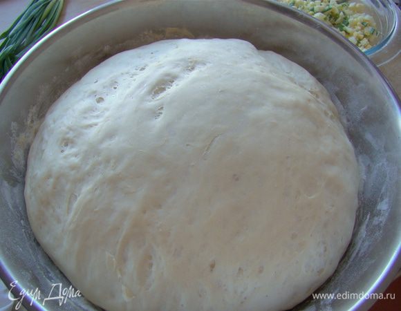 Вот так выросло мое чудо-тесто за полчаса