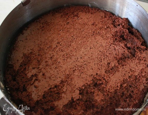 Сверху уложить шоколадный бисквит. Убрать в холодильник.