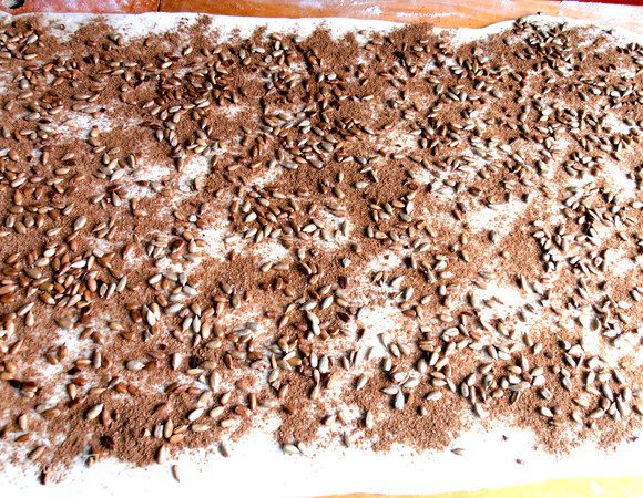 Сверху рассыпаем аппетитные семечки.