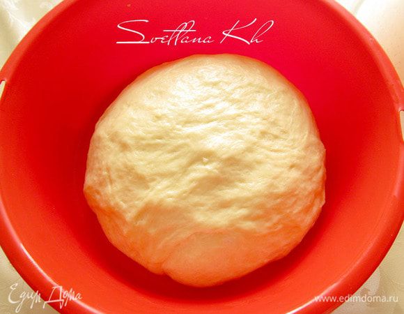Замесить тесто по своему любимому рецепту. Не старайтесь забить тесто мукой, оно должно быть очень мягким, тянучим, липким вначале. Очень хорошо вымесить его, не менее 10 минут, чтобы отлипало от рук, накрыть пленкой  и оставить. Дать тесту подняться.