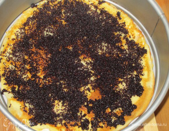 ......сверху 2-й блинчик,тонким слоем намазать творожную начинку и  выложить мак.Слои повторить.