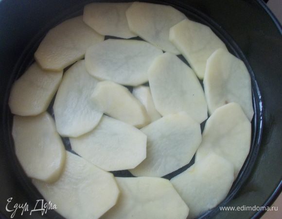 В форму смазанную маслом выложить картофель, порезанный тонкими кольцами. Немного посолить.