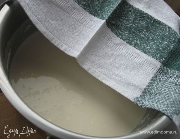 Дрожжи развести в 300 мл молока комнатной температуры, всыпать 0,75 стакана муки. Перемешать лопаткой и поставить в теплое место на 1 – 1,5 часа.