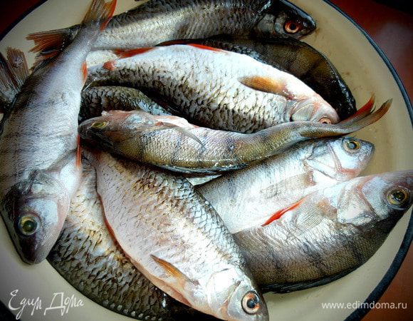 Рыба,наловленная и почищенная руками мужа...Плотва,окунь.