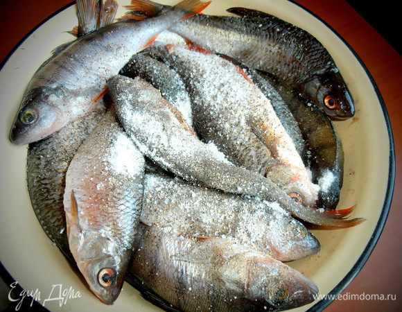 Рыбу обсушить и пересыпать крупной солью.