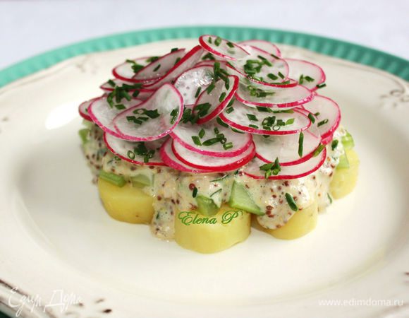 Кружочки редиса выложить сверху в виде горки. Подавать салат к холодной телятине или ветчине.