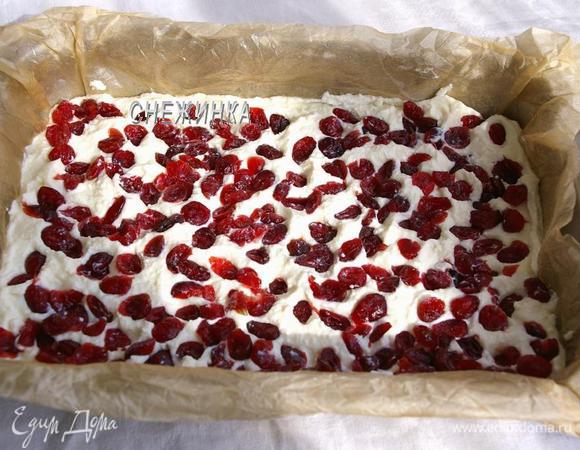 Вяленую клюкву предварительно хорошенько вымываем, просушиваем на бумажном полотенце. На творожный слой выкладываем клюкву и вдавливаем.