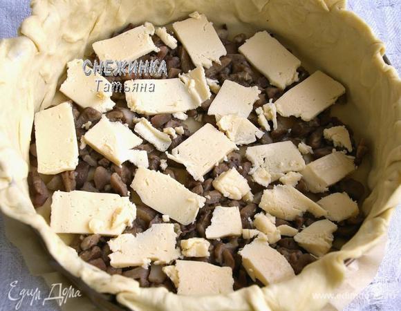 На дно кладём грибы, которые кусочками, на них нарезаем полоски плавленого сыра. 